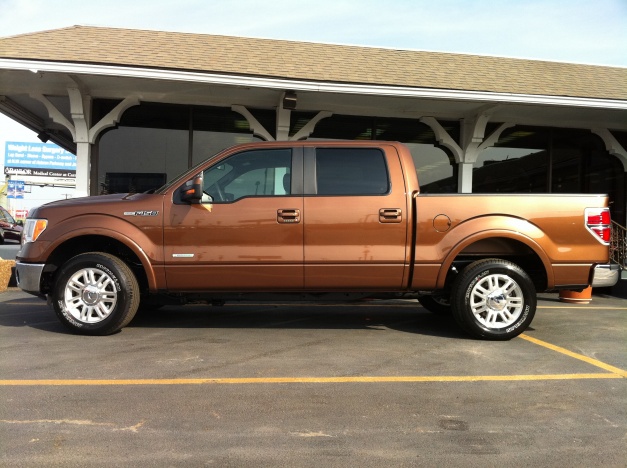 Bronze F150