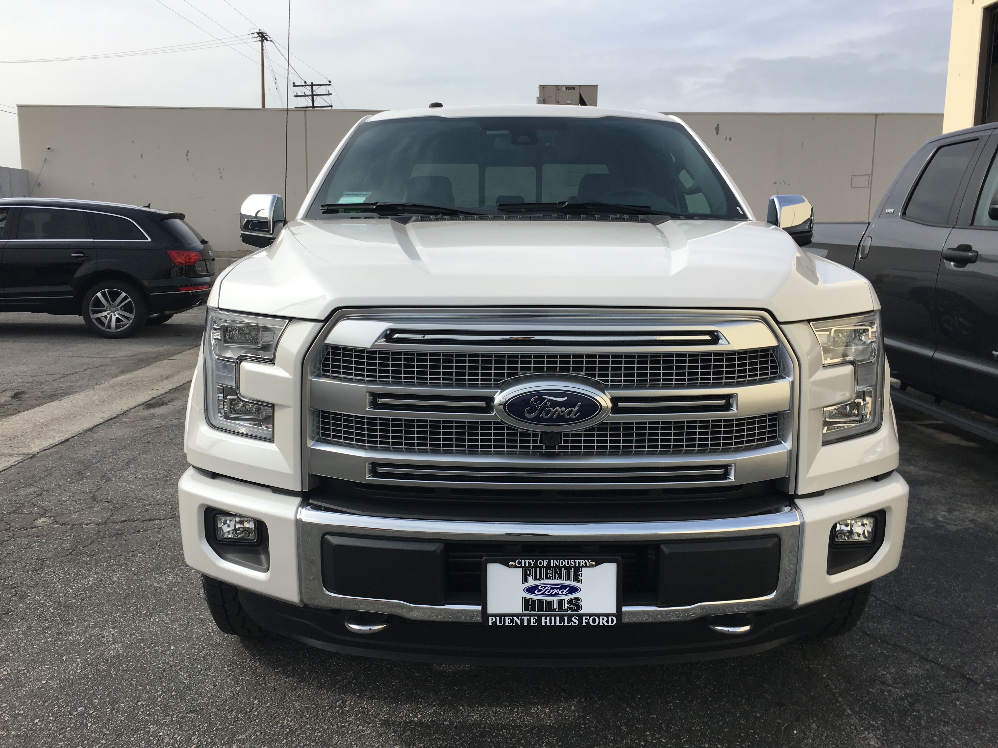 Ford f150 owner #6