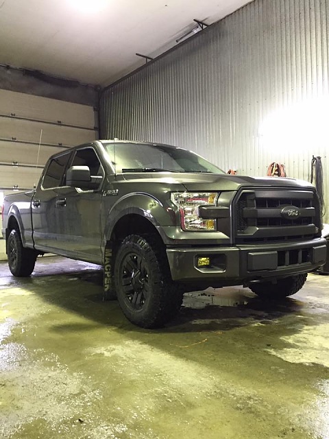 What Mods/Changes Have You Done To Your 2015 or 2016???-ford1.jpg