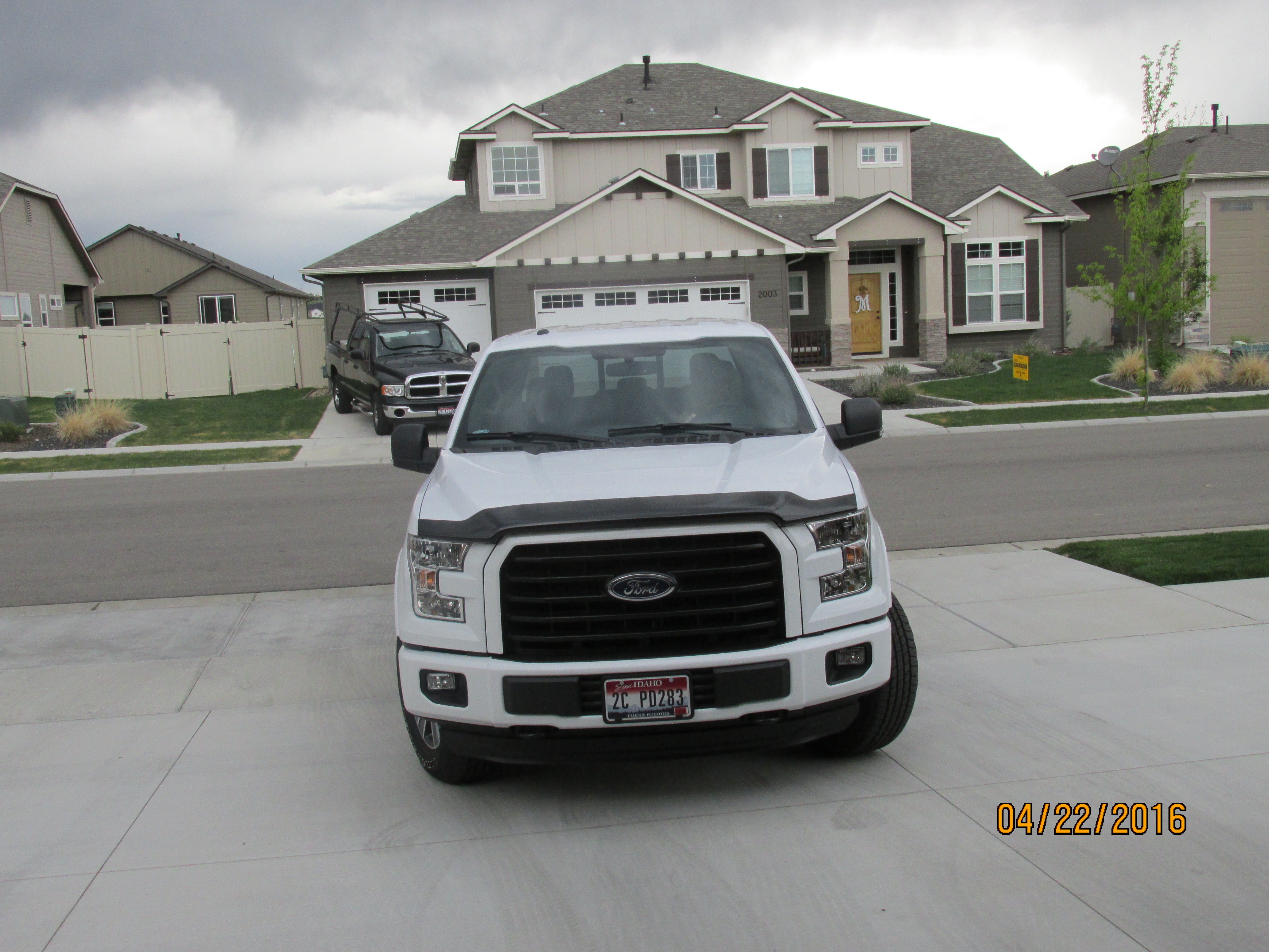 ford f150 hood bug deflector