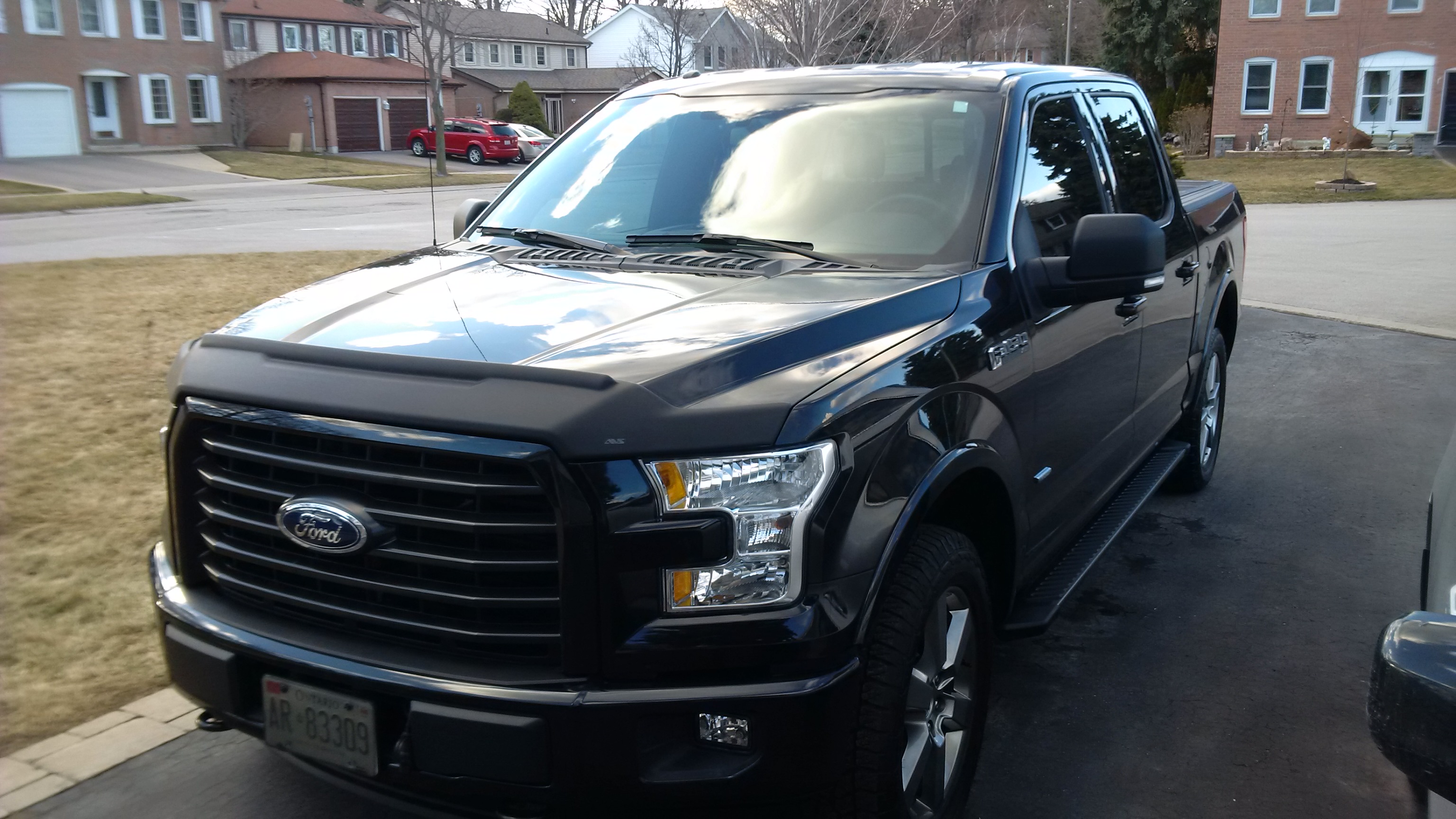 2017 f150 bug deflector