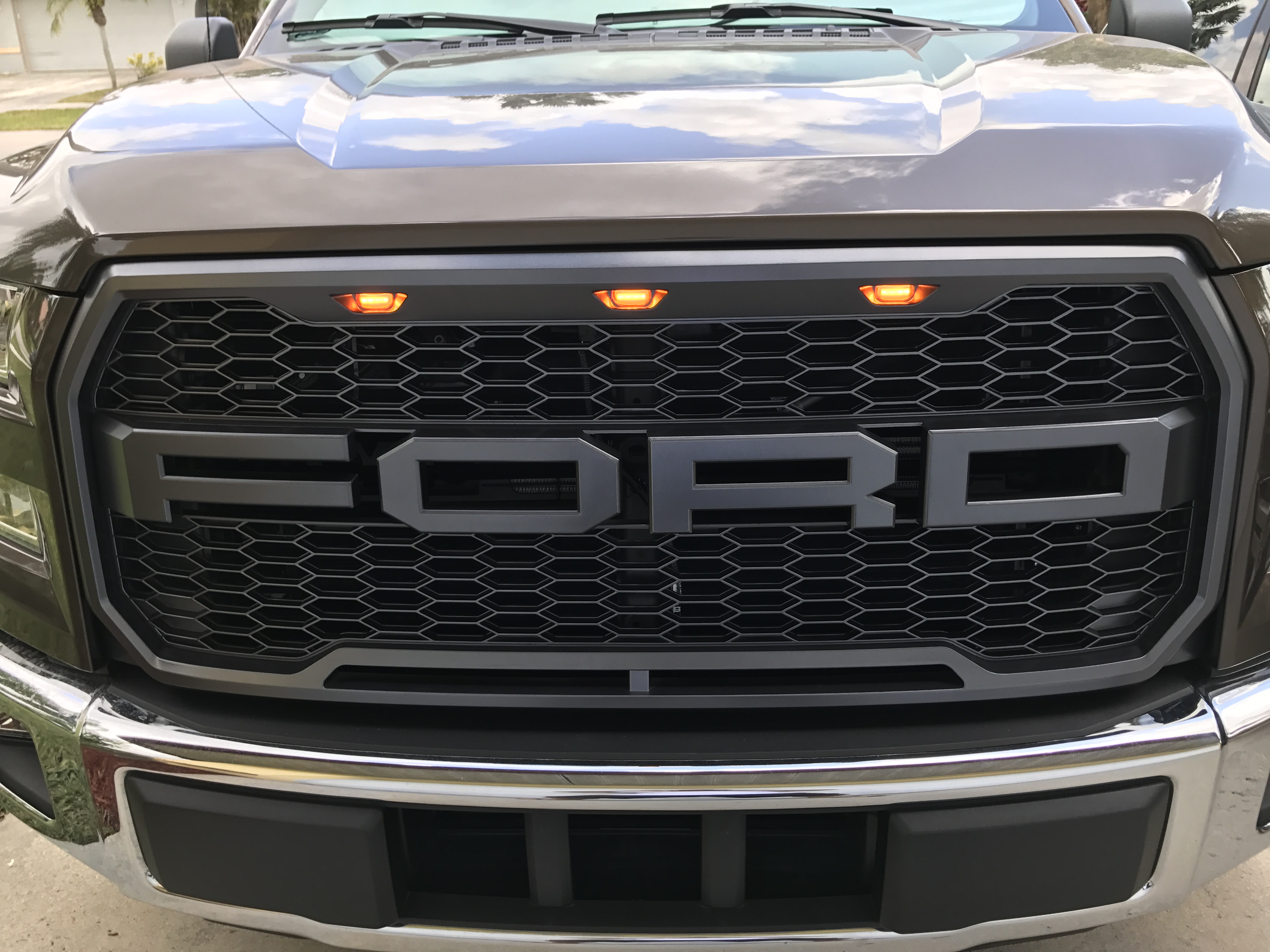 Grill Options Raptor Style Grill - Page 201 - Ford F150 Forum - Community  of Ford Truck Fans