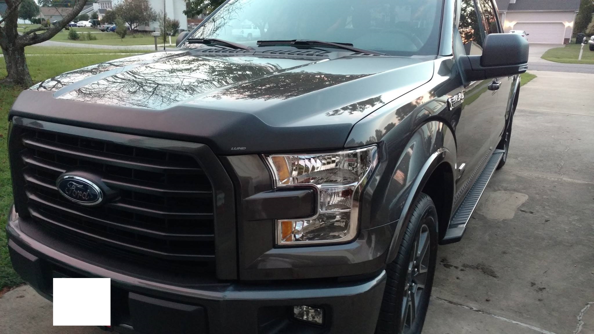 bug guard for f150