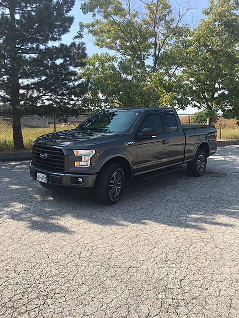 Let's see those Magnetic F-150's!-photo627.jpg