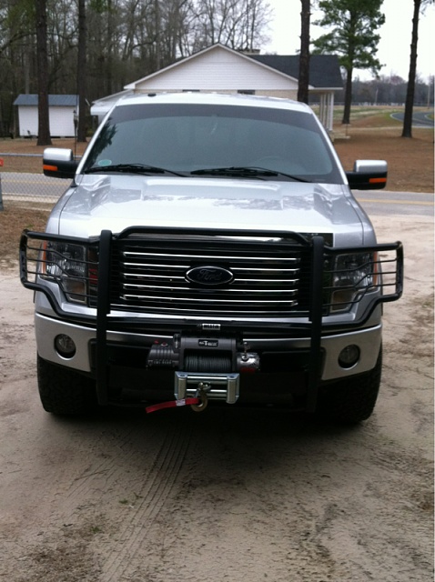 2012 Ford f150 brush guard #7