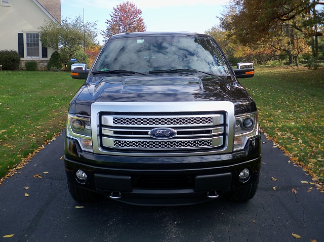 2013 Ford f 150 platinum black #2