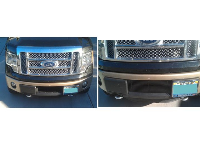 2012 Ford f150 lower bumper grille insert #5