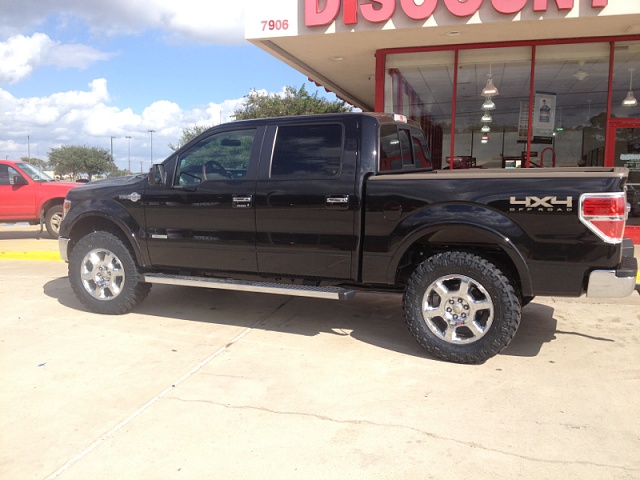 Ford f150 monochromatic