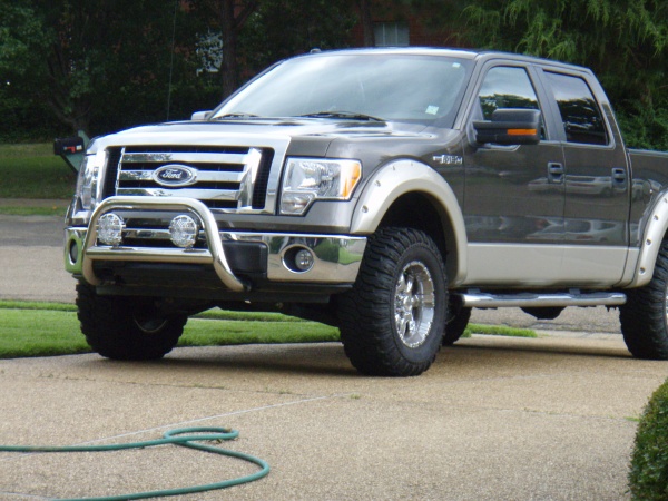 Brush guard for 2010 ford f150 #6