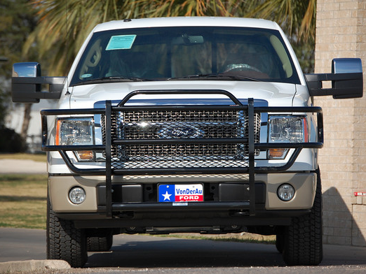 Grill guards for 2010 ford f150 #1