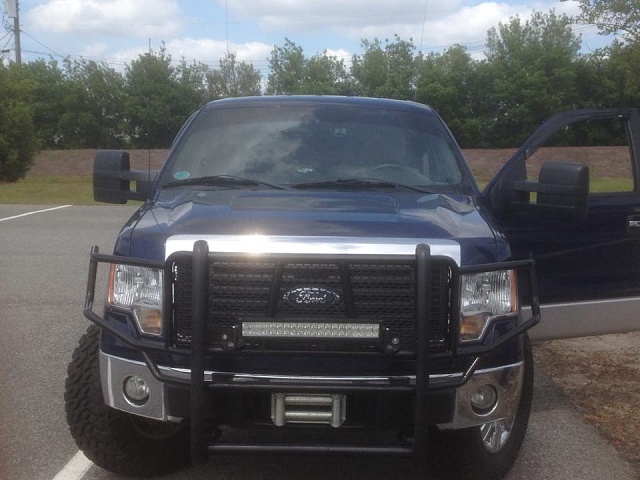 Brush guard for 2010 ford f150 #9