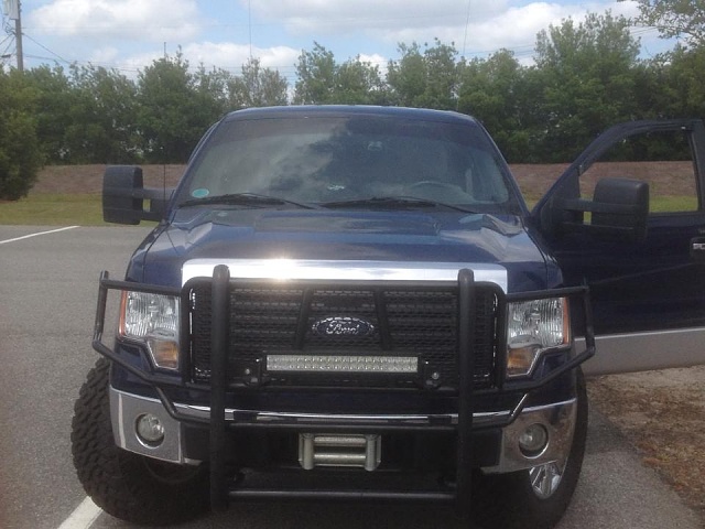 Brush guard 2010 ford f-150 #6