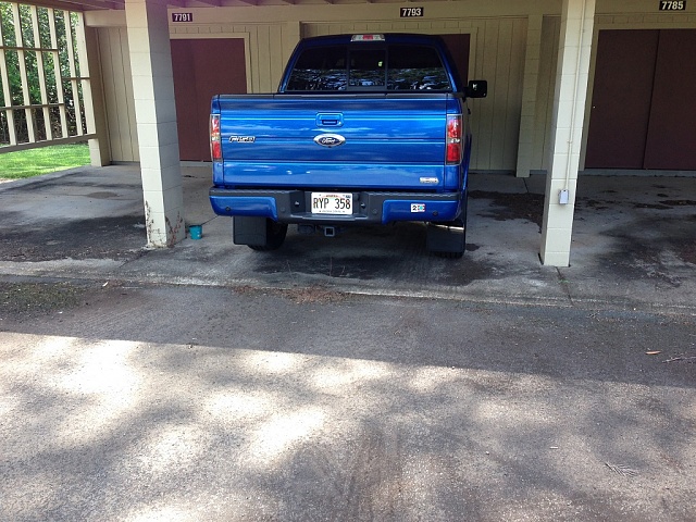 Ford f 150 splash guard #9