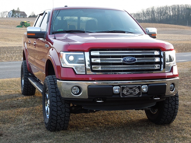 2014 f150 bug deflector