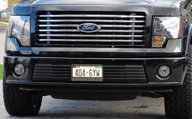 Ford f150 bull bar with tow hooks #9