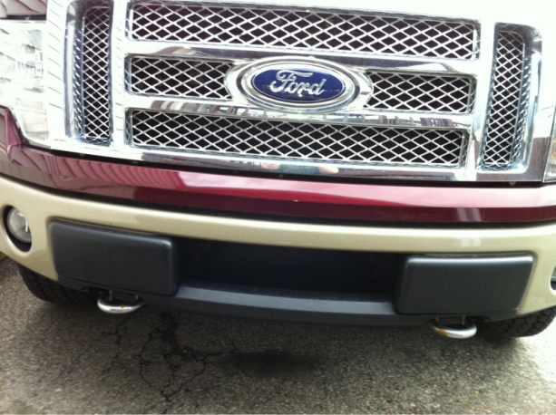 Ford grille inserts #2