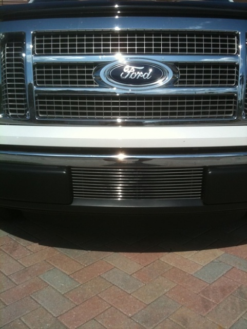 Ford f150 ecoboost grill cover #7
