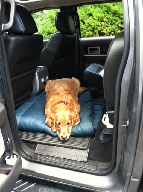 Dog seat covers for ford f150 #5