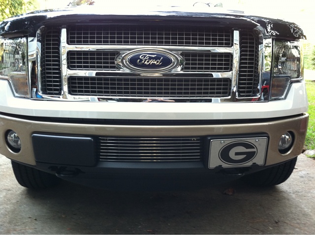 Ford f150 bumper insert #3