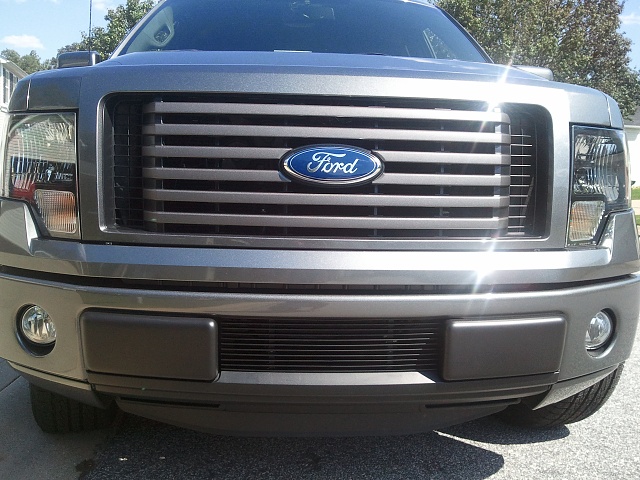 2011 Ford f150 lower grille inserts #4