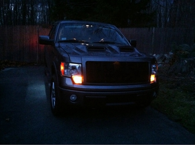 2010 Ford f150 puddle lamps