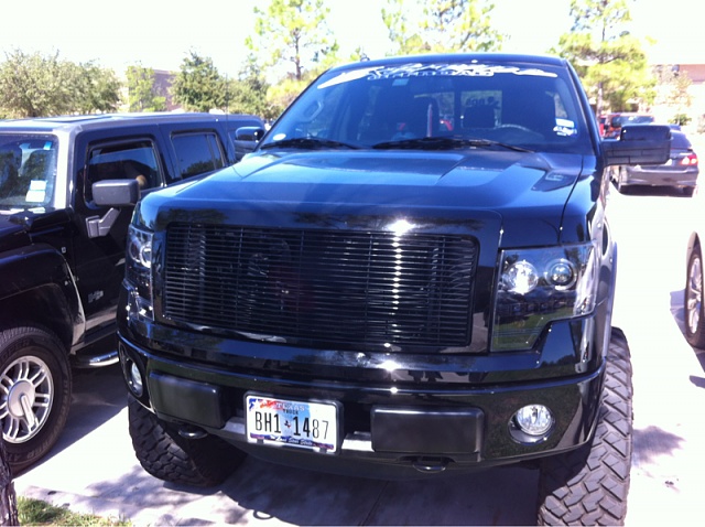 2011 Ford f150 mesh grille #9