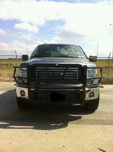 2011 Ford f150 brush guard #1