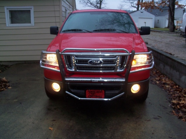 2010 Ford f150 brush guard #1