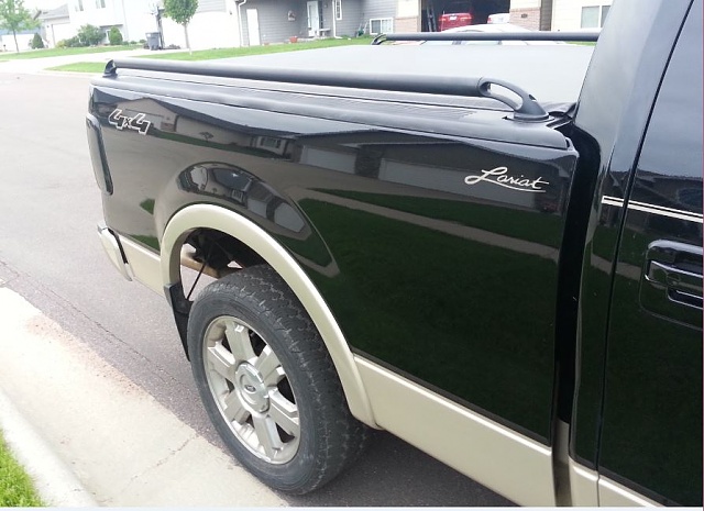 Black roll bars for ford f150 #3