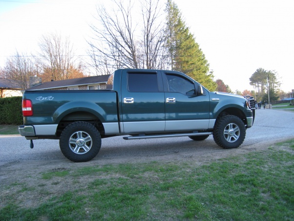 Bush bars for ford pick up