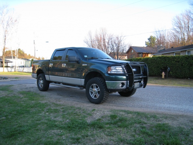 Bush bars for ford f150 #3