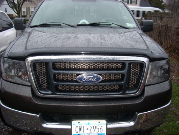 2006 Ford f150 chrome grill #9