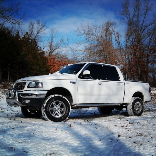 Trucks in the snow - Ford F150 Forum - Community of Ford Truck Fans