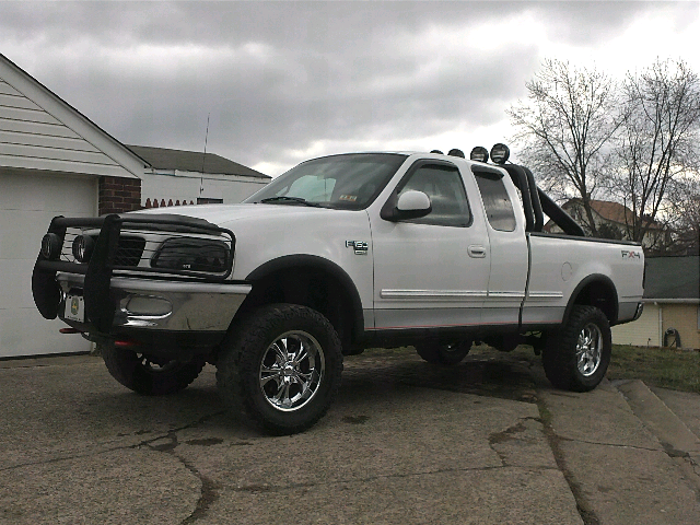 Brush guard for 2001 ford f150 #2