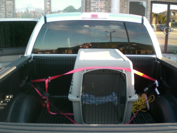 Dog Cage for Bed of truck? - Ford F150 Forum - Community ...