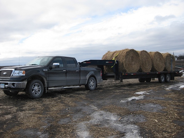 Can a ford f150 pull a horse trailer #8